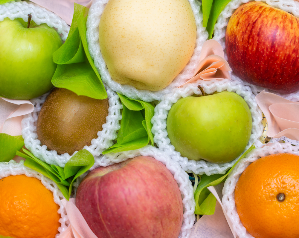 Nishimoto WORLD GIFT